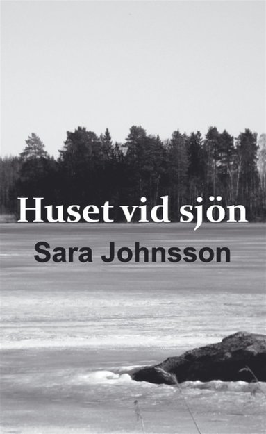 Huset vid sjn (e-bok)
