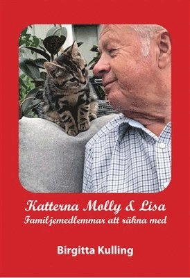 Katterna Molly & Lisa : familjemedlemmar att rkna med (kartonnage)