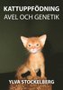 Kattuppfdning avel och genetik