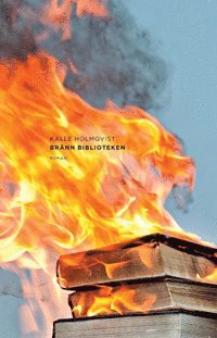 Brnn biblioteken : roman (inbunden)