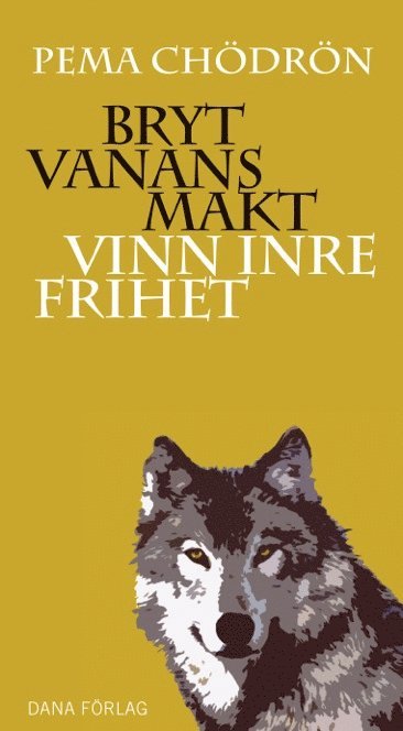 Bryt vanans makt : vinn inre frihet (inbunden)