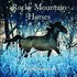 Rocky Mountain Horses