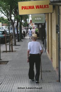 Palma walks : staden runt hrnet (hftad)