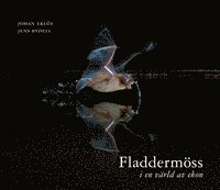 Fladdermss : i en vrld av ekon (inbunden)