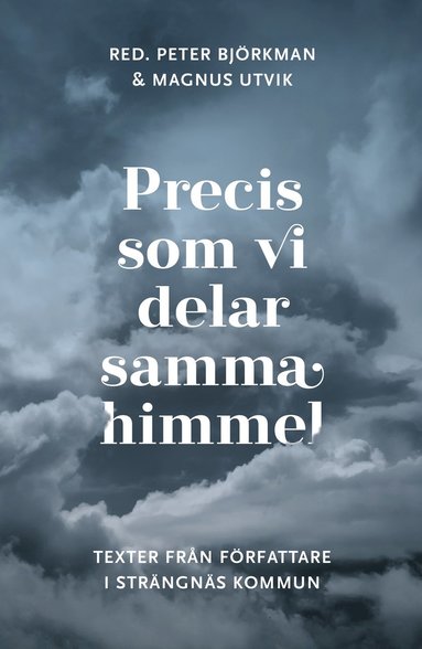 Precis som vi delar samma himmel. Texter frn frfattare i Strngns kommun (pocket)