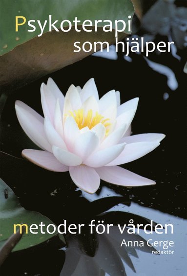 Psykoterapi som hj�lper : metoder f�r v�rden (h�ftad)