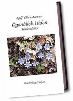 �gonblick i tiden : haikudikter (pocket)
