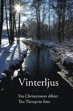 Vinterljus (kartonnage)