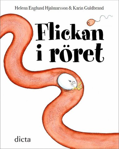 Flickan i rret (kartonnage)