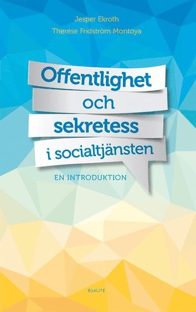 Offentlighet och sekretess i socialtjnsten : en introduktion (hftad)