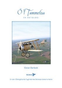 1 Tummelisa : en antologi (spel)