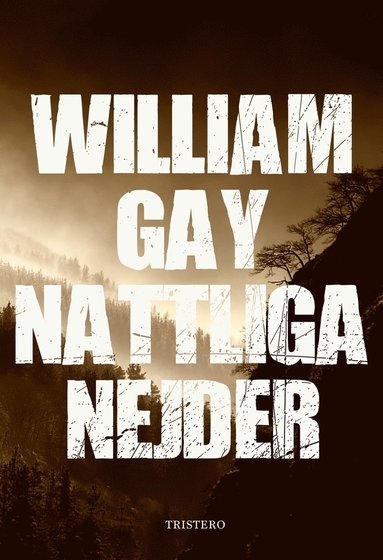 Nattliga nejder (pocket)