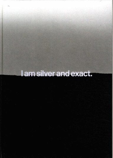 I am silver and exact Linda Hofvander (inbunden)