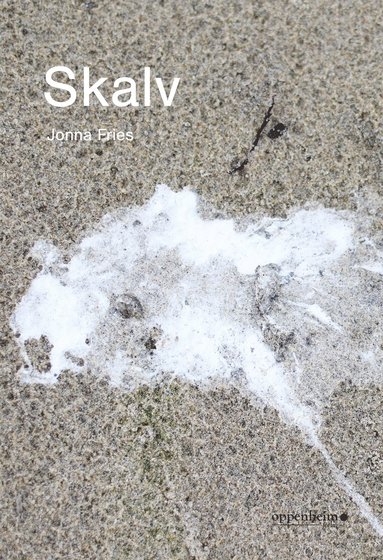 Skalv (pocket)