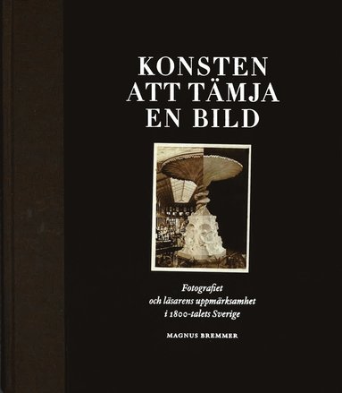 Konsten att tmja en bild (hftad)