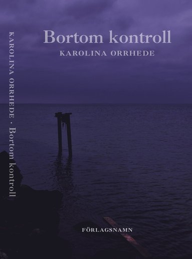 Bortom kontroll (pocket)