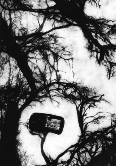 Reality harvester: nature after data after nature (inbunden)