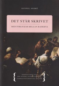 Det står skrivet : med inblickar mellan raderna - Kommentarer till den svenska evangeliebokens gammaltestamentliga texter (häftad)