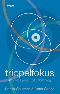 Trippelfokus : ett nytt synsätt på utbildning (häftad)