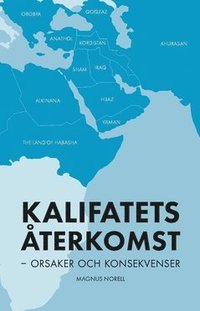 Kalifatets terkomst : orsaker och konsekvenser (hftad)