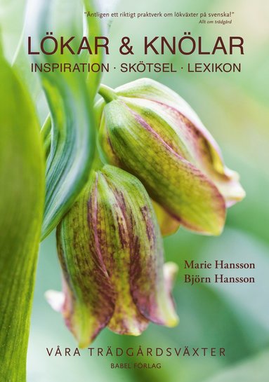 Lkar & knlar : inspiration, sktsel, lexikon (inbunden)