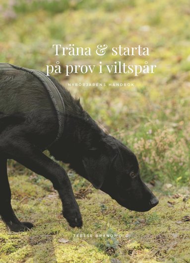 Trna och starta p prov i viltspr : nybrjarens handbok (hftad)