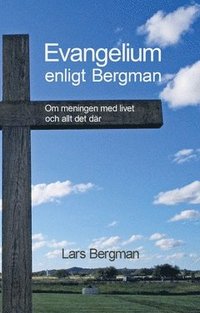 Evangelium enligt Bergman : Om meningen med livet och allt det där (häftad)