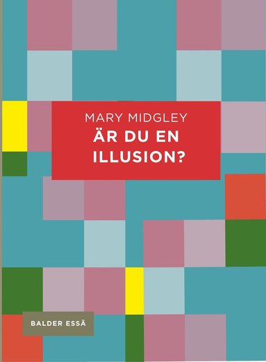 r du en illusion? (inbunden)