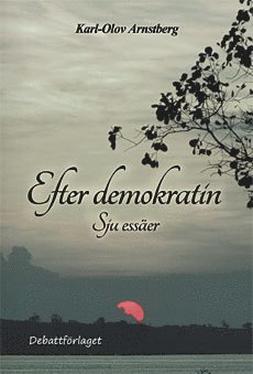 Efter demokratin : sju esser (hftad)
