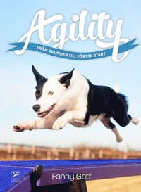 Agility : frn grunder till frsta start (e-bok)