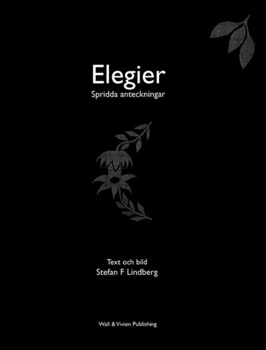 Elegier : spridda anteckningar (pocket)