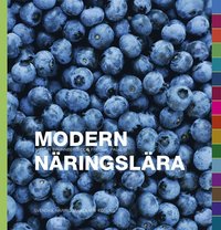 Modern nringslra (e-bok)