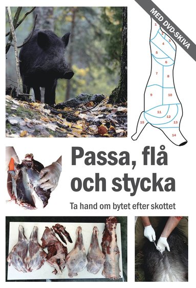 Passa, fl och stycka (hftad)