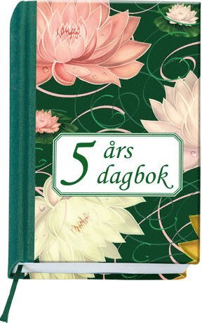 5 års dagbok (spel)