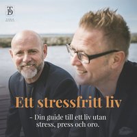 Ett stressfritt liv - Din guide till ett liv utan stress, press och oro. (ljudbok)