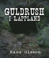 Guldrush i Lappland (e-bok)