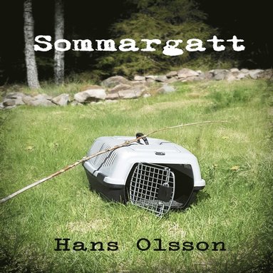 Sommargatt (pocket)