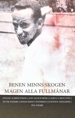 Benen Minns Skogen Magen Alla Fullmnar (pocket)