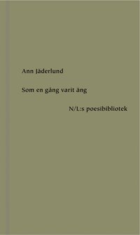 Som en gng varit ng (e-bok)