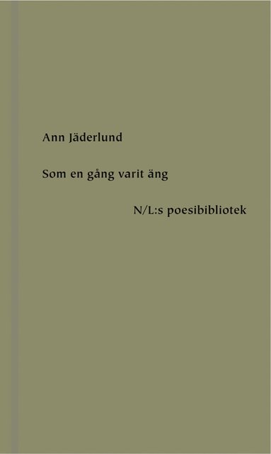 Som en g�ng varit �ng (pocket)
