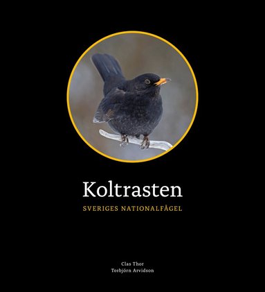 Koltrasten : Sveriges Nationalfgel (hftad)