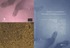 Gr�nser och o�ndligheter - Musikalisk och litter�r komposition, 'Compositional' Becoming, Complexity, and Critique