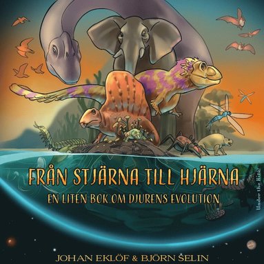 Frn stjrna till hjrna : en liten bok om djurens evolution (inbunden)