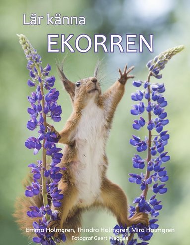 Lr knna ekorren (inbunden)