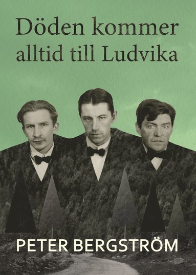 Dden kommer alltid till Ludvika (inbunden)