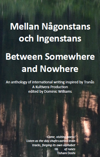 Mellan Ngonstans och Ingenstans / Between Somewhere and Nowhere (hftad)