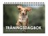 Tr�ningsdagbok : f�r dig och din hunds utveckling