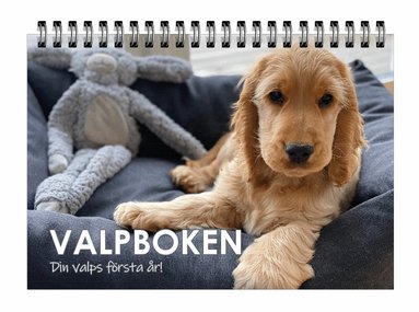 Valpboken : din hunds f�rsta �r (h�ftad)