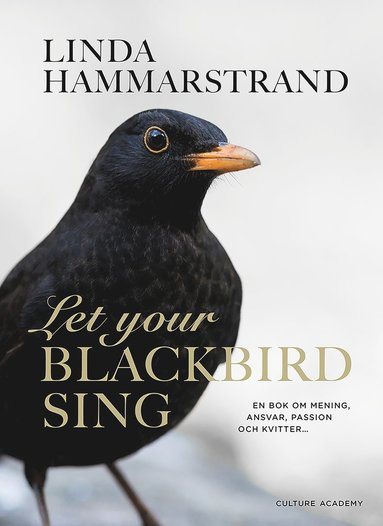 Let your blackbird sing (hftad)