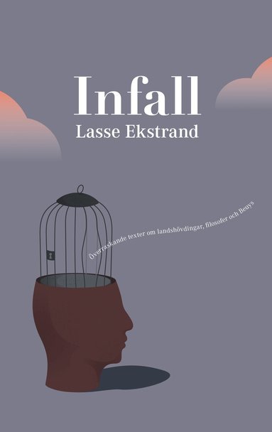 Infall : verraskande texter om landshvdingar, filosofer och Beuys (inbunden)